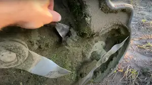 Tagliaerba a Batteria Pulizia regolare del piatto di taglio 1